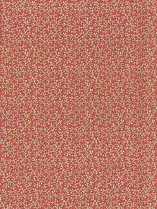 Scalamandre Fabric Hele Bay Coral