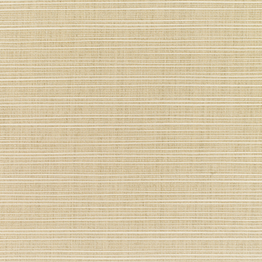 8011 Dupione Sand by Sunbrella Fabric Sunbrella Elements - Dupione Sunbrella® Acrylic, Sunbrella® Polyester, Sunbrella® Non-Phthalate PVC USA or Imported 5-Year Horizontal: and Vertical: 60 yd. 54 in. - Fabric Carolina -