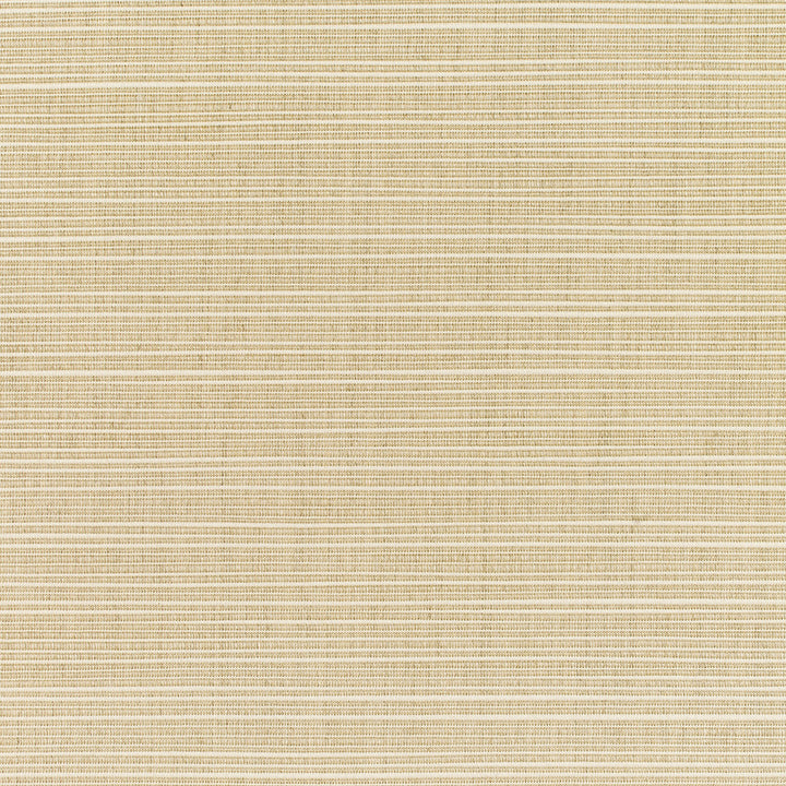 8011 Dupione Sand by Sunbrella Fabric Sunbrella Elements - Dupione Sunbrella® Acrylic, Sunbrella® Polyester, Sunbrella® Non-Phthalate PVC USA or Imported 5-Year Horizontal: and Vertical: 60 yd. 54 in. - Fabric Carolina -