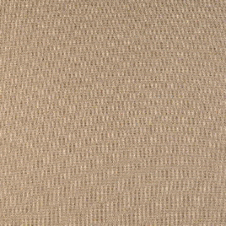 Exhale Driftwood 400001-0005 by Sunbrella Fabric 98.7% Sunbrella® Acrylic, 1.3% Sunbrella® Polyester 15000 Horizontal: and Vertical: 54 in. - Fabric Carolina -
