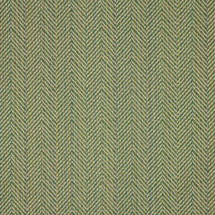 44157-0019 Posh Shamrock by Sunbrella Fabric Sunbrella Fusion Sunbrella® Acrylic, Sunbrella® Polyester USA or Imported 5-Year Horizontal: 60 yd. and Vertical: 11.3 in. 54 in. - Fabric Carolina -