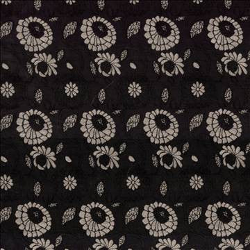 Aalsmeer Garden Noir by Kasmir Fabric 8000 88% Rayon 12% Polyester CHINA 30,000 Wyzenbeek Double Rubs H: 4 4/8 inches, V: 7 inches 54 - 56 - Fabric Carolina - Kasmir