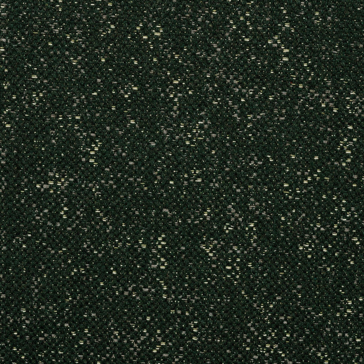 305676-0004 Tweeds Glen by Sunbrella Designer Fabric Sunbrella RETWEED Sunbrella® Recycled Acrylic, Sunbrella® Acrylic, Sunbrella® Polyester USA or Imported 5-Year Horizontal: 40 yd. and Vertical: 18 in. 54 in. - Swanky Fabrics -