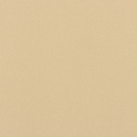 749 Tan by Sunbrella Fabric Starfire 45% Polyester/55% Cotton USA or Imported 5-Year Limited Warrany Horizontal: and Vertical: 60 in. - Fabric Carolina -