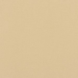 749 Tan by Sunbrella Fabric