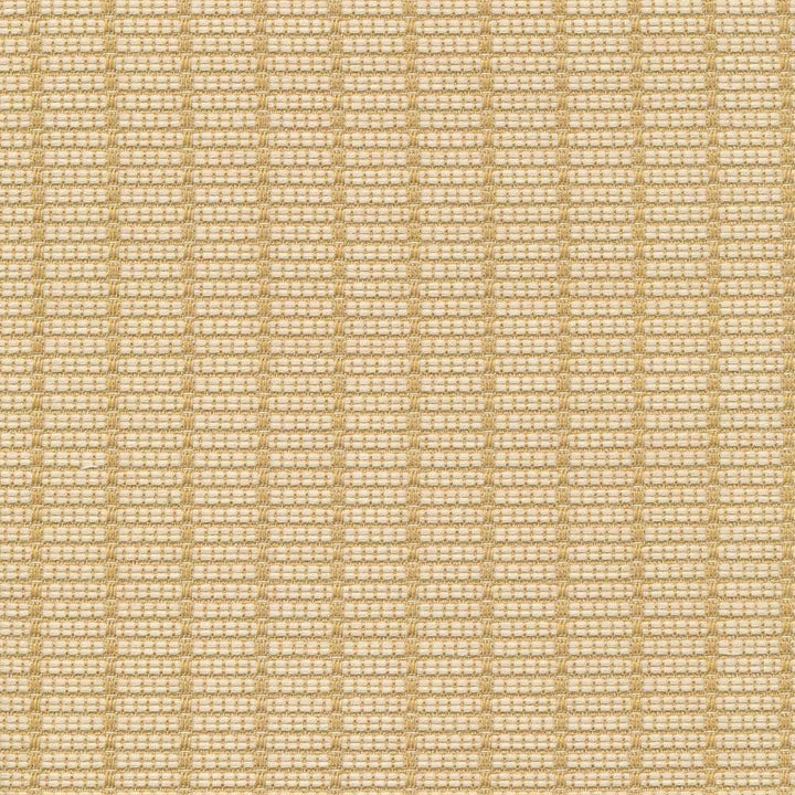 Abaca Io Hops by Kasmir Fabric 1413 100% Acrylic USA 12,000 Wyzenbeek Double Rubs H: 6/8 inches, V:3/8 inches 54 - Fabric Carolina - Kasmir
