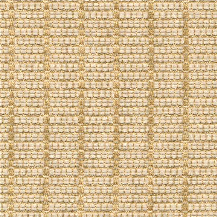 Abaca Io Hops by Kasmir Fabric 1413 100% Acrylic USA 12,000 Wyzenbeek Double Rubs Horizontal: 6/8 inches and Vertical: 3/8 inches 54 - Fabric Carolina -