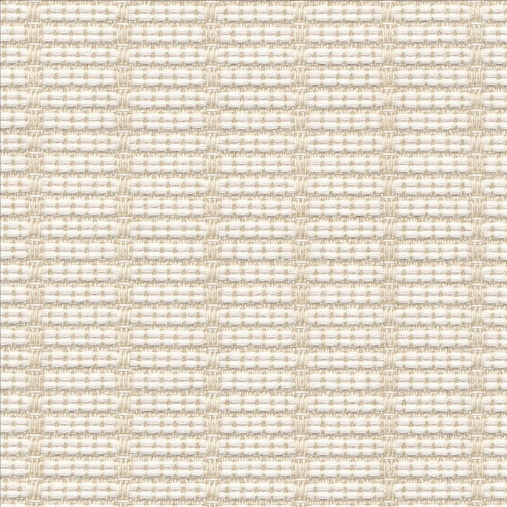 Abaca Io Vellum by Kasmir Fabric 1413 100% Acrylic
 USA 12,000 Wyzenbeek Double Rubs </p><p>Repeat: Horizontal: 6/8 inches and Vertical: 3/8 inches 54 - Fabric Carolina -