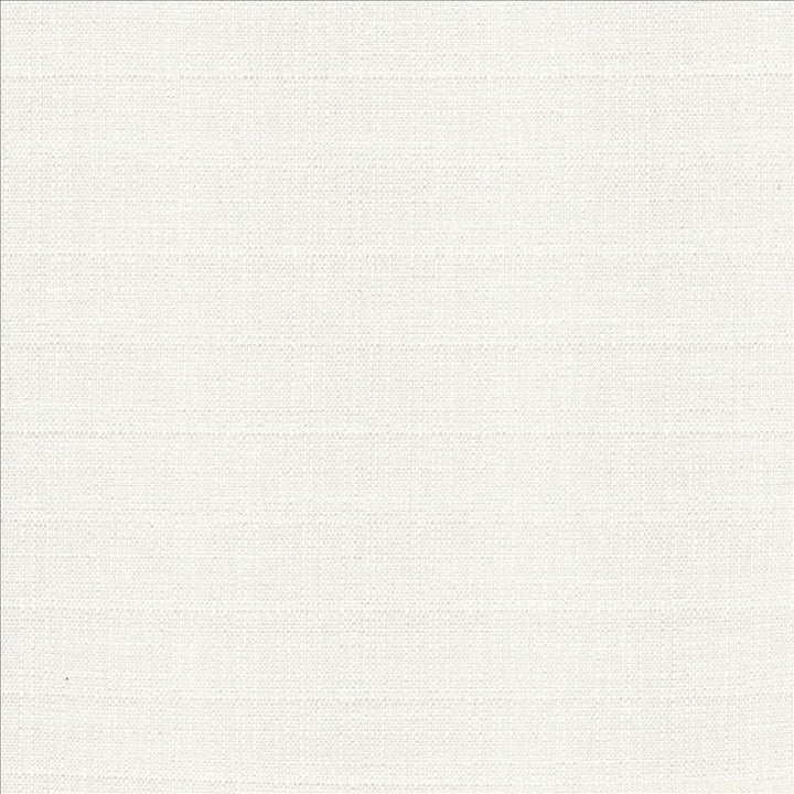 Abalone Ivory by Kasmir Fabric 1449 86% Polyester
14% Viscose
 INDIA 98,000 Martindale Cycles </p><p>Repeat: Horizontal: N/A and Vertical: N/A 55 - Fabric Carolina -