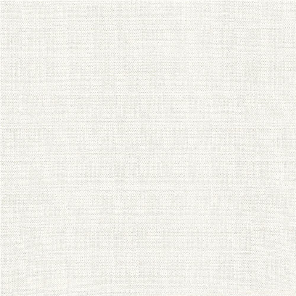 Abalone Ivory by Kasmir Fabric 1449 86% Polyester
14% Viscose
 INDIA 98,000 Martindale Cycles Horizontal: N/A and Vertical: N/A 55 - Fabric Carolina -