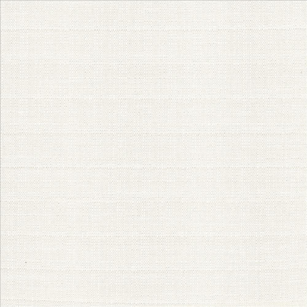 Abalone Ivory by Kasmir Fabric 1449 86% Polyester
14% Viscose
 INDIA 98,000 Martindale Cycles </p><p>Repeat: Horizontal: N/A and Vertical: N/A 55 - Fabric Carolina -