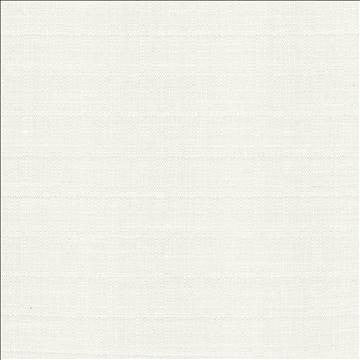 Abalone Ivory by Kasmir Fabric 1449 86% Polyester 14% Viscose INDIA 98,000 Martindale Cycles H: N/A, V: N/A 55 - Fabric Carolina - Kasmir
