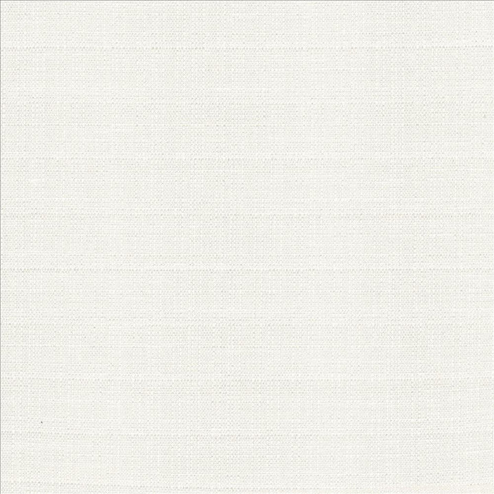 Abalone Ivory by Kasmir Fabric 1449 86% Polyester
14% Viscose
 INDIA 98,000 Martindale Cycles </p><p>Repeat: Horizontal: N/A and Vertical: N/A 55 - Fabric Carolina -