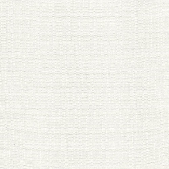 Abalone Ivory by Kasmir Fabric 1449 86% Polyester
14% Viscose
 INDIA </p><p>Repeat: Horizontal: N/A and Vertical: N/A 55 - Fabric Carolina -