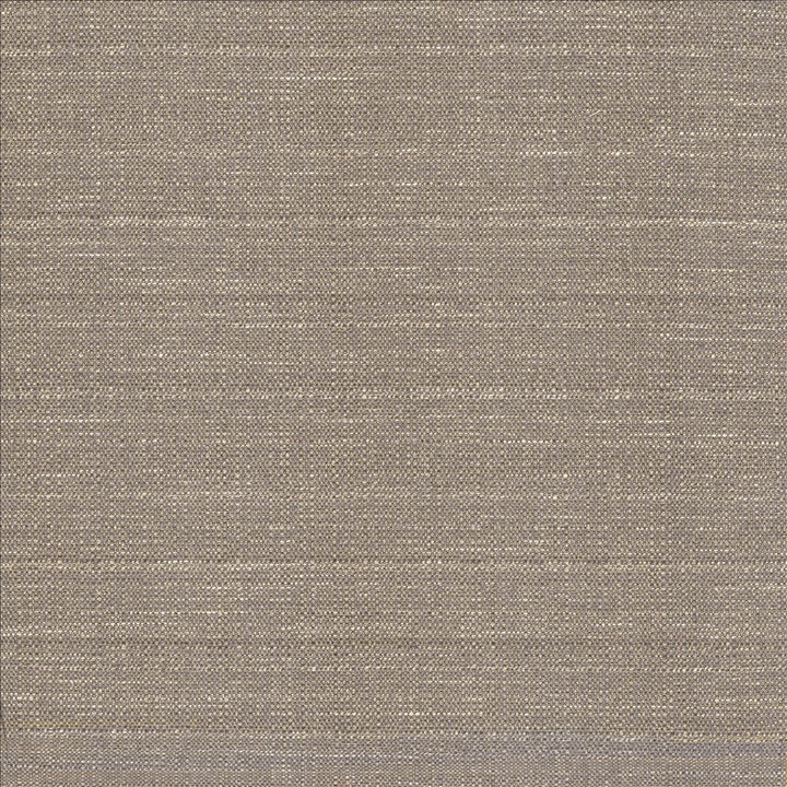 Abalone Mist by Kasmir Fabric 1449 86% Polyester
14% Viscose
 INDIA 98,000 Martindale Cycles </p><p>Repeat: Horizontal: N/A and Vertical: N/A 55 - Fabric Carolina -