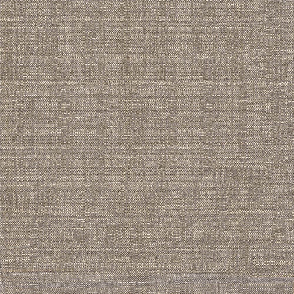 Abalone Mist by Kasmir Fabric 1449 86% Polyester
14% Viscose
 INDIA 98,000 Martindale Cycles </p><p>Repeat: Horizontal: N/A and Vertical: N/A 55 - Fabric Carolina -