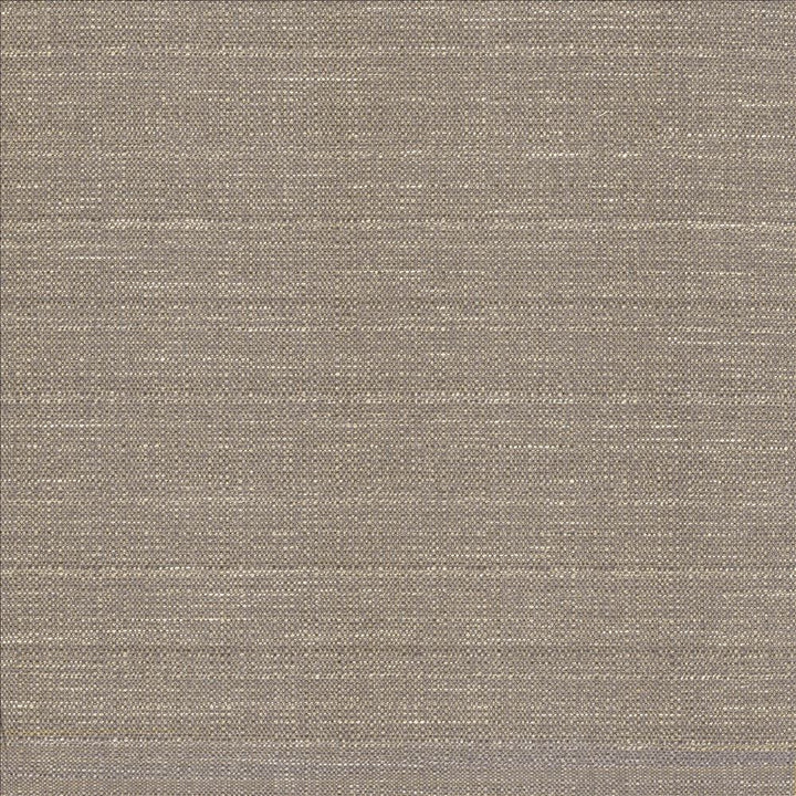 Abalone Mist by Kasmir Fabric 1449 86% Polyester
14% Viscose
 INDIA 98,000 Martindale Cycles </p><p>Repeat: Horizontal: N/A and Vertical: N/A 55 - Fabric Carolina -
