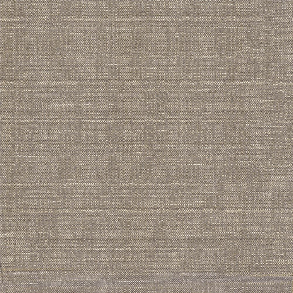 Abalone Mist by Kasmir Fabric 1449 86% Polyester 14% Viscose INDIA 98,000 Martindale Cycles Horizontal: 0 Inches and Vertical: 0 Inches 55 - Fabric Carolina -