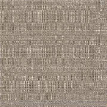 Abalone Mist by Kasmir Fabric 1449 86% Polyester 14% Viscose INDIA 98,000 Martindale Cycles H: N/A, V: N/A 55 - Fabric Carolina - Kasmir