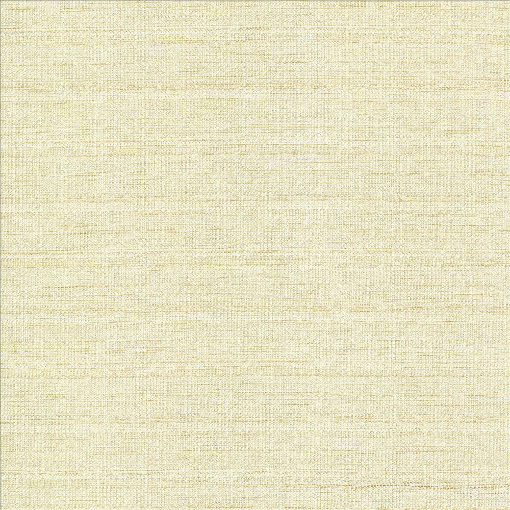 Abalone Opal by Kasmir Fabric 1449 86% Polyester
14% Viscose
 INDIA 98,000 Martindale Cycles </p><p>Repeat: Horizontal: N/A and Vertical: N/A 55 - Fabric Carolina -