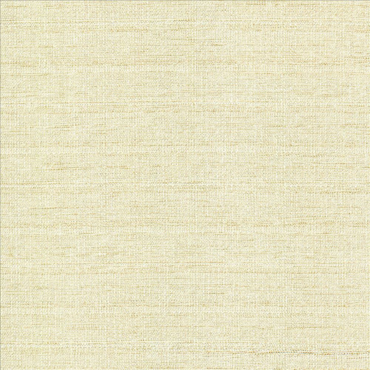 Abalone Opal by Kasmir Fabric 1449 86% Polyester
14% Viscose
 INDIA 98,000 Martindale Cycles </p><p>Repeat: Horizontal: N/A and Vertical: N/A 55 - Fabric Carolina -