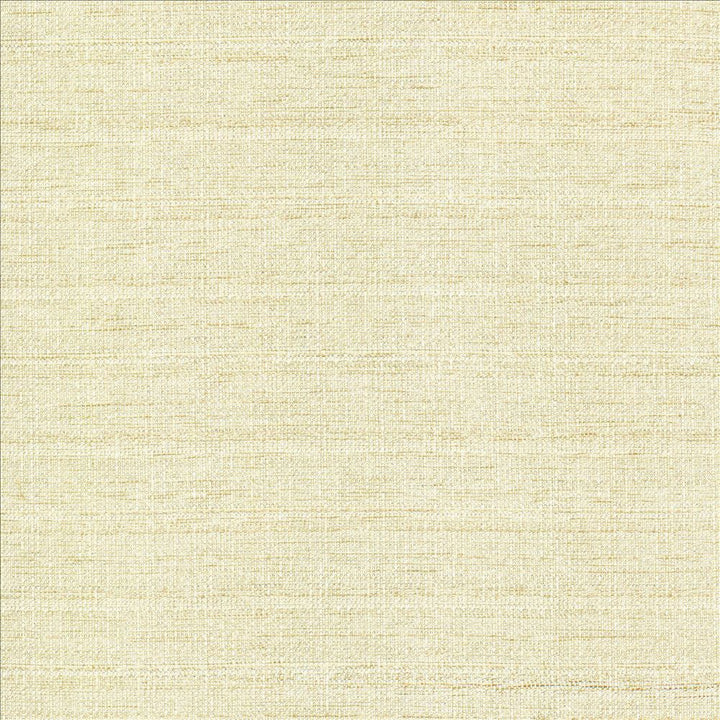 Abalone Opal  by Kasmir Fabric See sample 86% Polyester
14% Viscose
 INDIA 98,000 Martindale Cycles </p><p>Repeat: Horizontal: N/A and Vertical: N/A 55  - Fabric Carolina -
