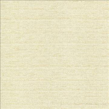 Abalone Opal by Kasmir Fabric 1449 86% Polyester 14% Viscose INDIA 98,000 Martindale Cycles H: N/A, V: N/A 55 - Fabric Carolina - Kasmir