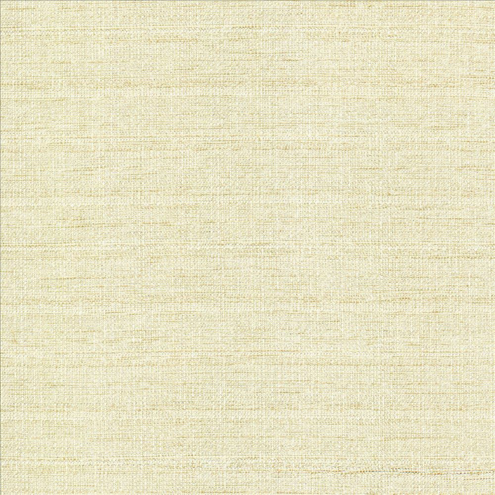 Abalone Opal by Kasmir Fabric 1449 86% Polyester
14% Viscose
 INDIA 98,000 Martindale Cycles </p><p>Repeat: Horizontal: N/A and Vertical: N/A 55 - Fabric Carolina -
