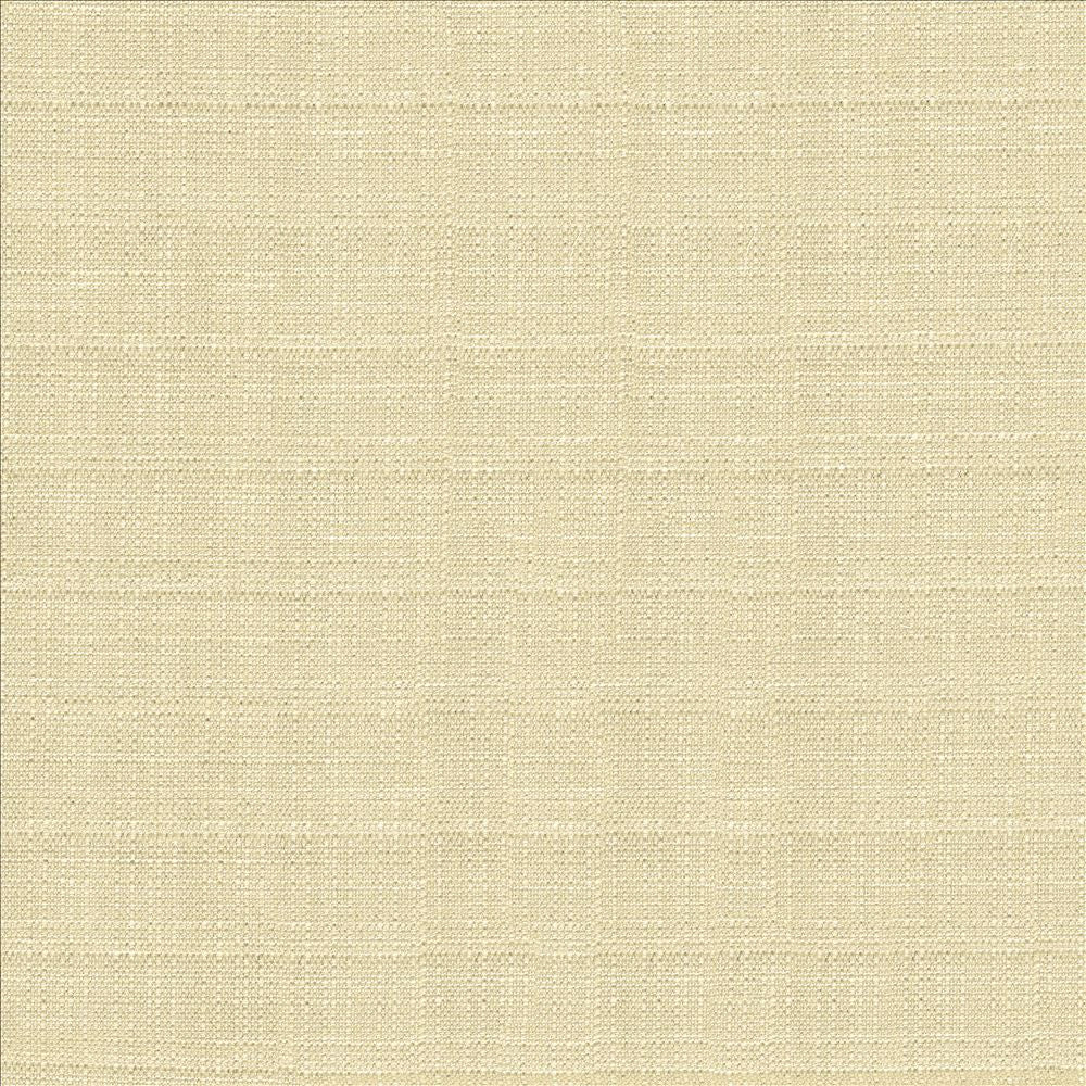 Abalone Oyster by Kasmir Fabric 1449 86% Polyester
14% Viscose
 INDIA 98,000 Martindale Cycles </p><p>Repeat: Horizontal: N/A and Vertical: N/A 55 - Fabric Carolina -