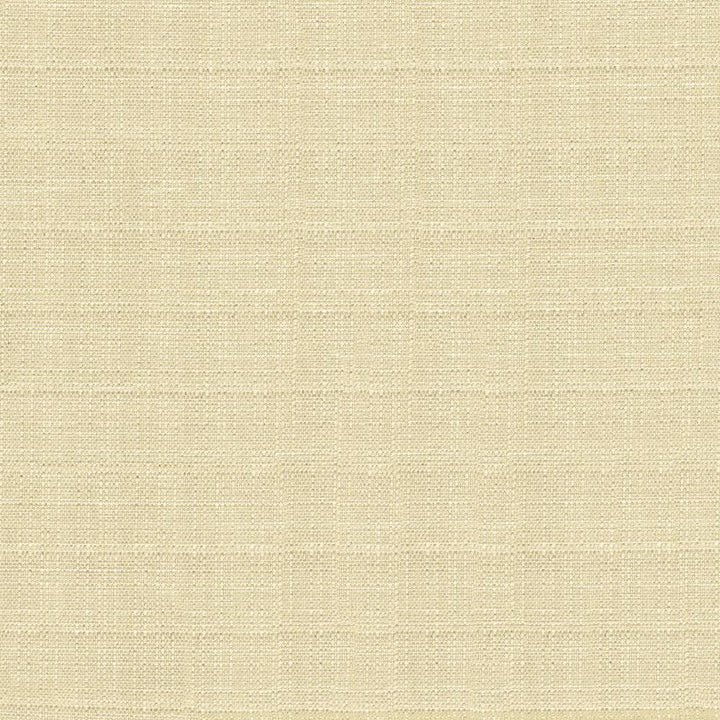 Abalone Oyster by Kasmir Fabric 1449 86% Polyester
14% Viscose
 INDIA </p><p>Repeat: Horizontal: N/A and Vertical: N/A 55 - Fabric Carolina -