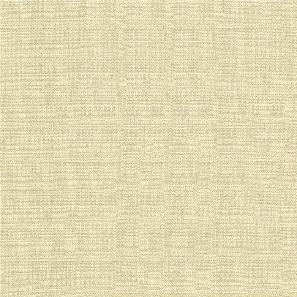 Abalone Oyster by Kasmir Fabric 1449 86% Polyester
14% Viscose
 INDIA 98,000 Martindale Cycles Horizontal: N/A and Vertical: N/A 55 - Fabric Carolina -
