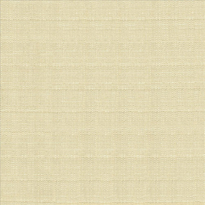 Abalone Oyster by Kasmir Fabric 1449 86% Polyester
14% Viscose
 INDIA 98,000 Martindale Cycles Horizontal: N/A and Vertical: N/A 55 - Fabric Carolina -