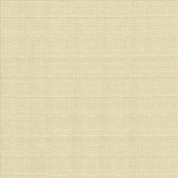 Abalone Oyster by Kasmir Fabric 1449 86% Polyester
14% Viscose
 INDIA 98,000 Martindale Cycles </p><p>Repeat: Horizontal: N/A and Vertical: N/A 55 - Fabric Carolina -