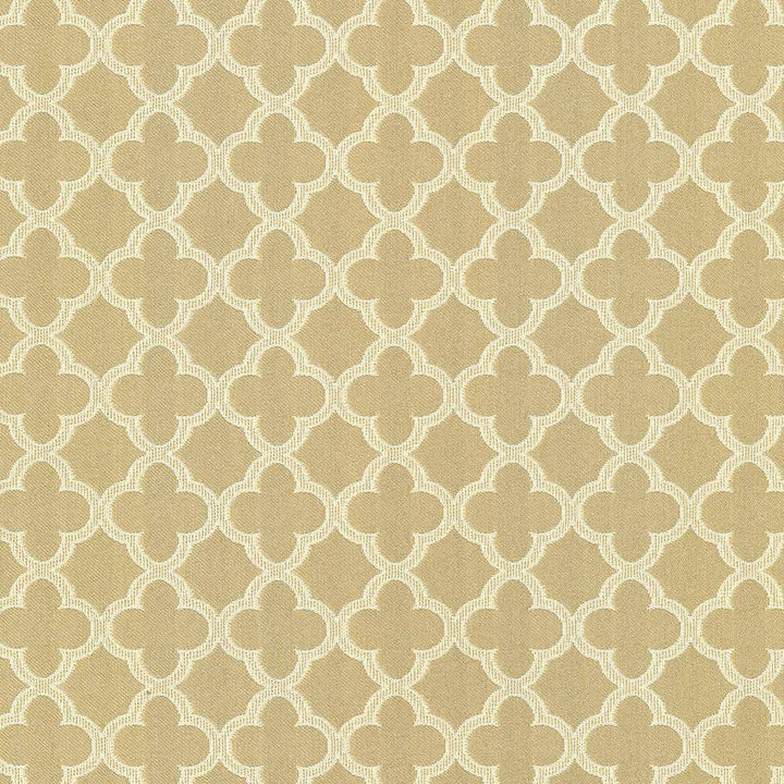 Abberley Trellis Dune by Kasmir Fabric 1442 67% Rayon 33% Polyester CHINA 18,000 Wyzenbeek Double Rubs H: 1 4/8 inches, V:1 4/8 inches 54 - Fabric Carolina - Kasmir