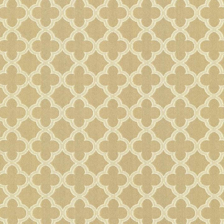 Abberley Trellis Dune by Kasmir Fabric 1442 67% Rayon
33% Polyester
 CHINA 18,000 Wyzenbeek Double Rubs </p><p>Repeat: Horizontal: 1 4/8 inches and Vertical: 1 4/8 inches 54 - Fabric Carolina -