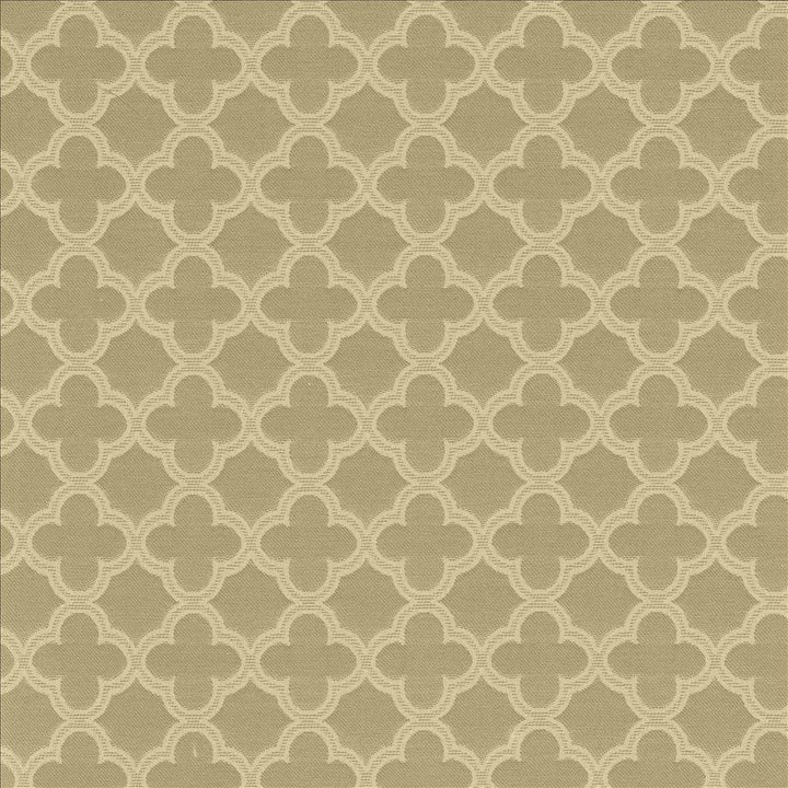 Abberley Trellis Ironstone by Kasmir Fabric 1437 67% Rayon 33% Polyester CHINA 18,000 Wyzenbeek Double Rubs Horizontal: 1 4/8 inches and Vertical: 1 4/8 inches 54 - Fabric Carolina -