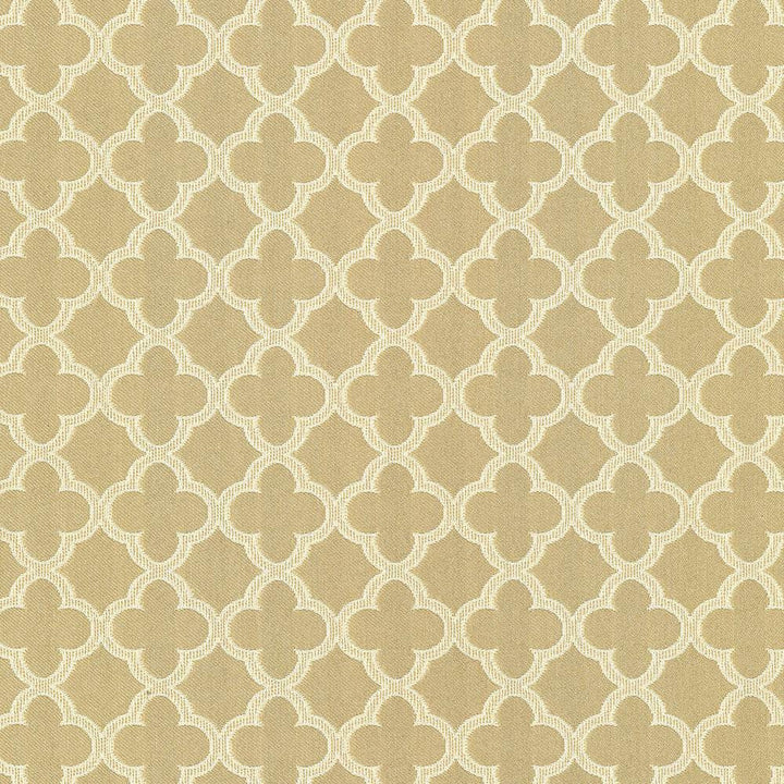 Abberley Trellis Dune by Kasmir Fabric 1442 67% Rayon
33% Polyester
 CHINA </p><p>Repeat: Horizontal: 1 4/8 inches and Vertical: 1 4/8 inches 54 - Fabric Carolina -