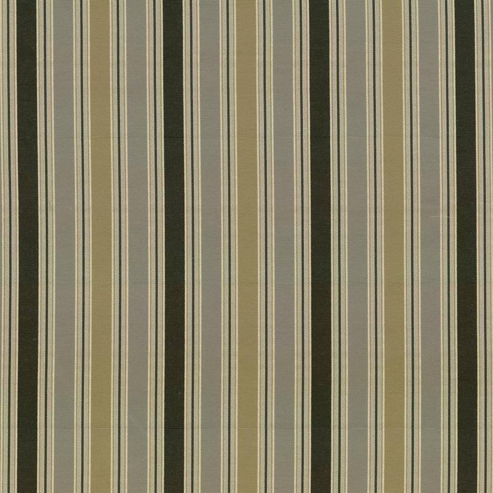 Abbot Stripe Meadow by Kasmir Fabric 5074 56% Cotton 44% Polyester TAIWAN 30,000 Wyzenbeek Double Rubs H: 6 7/8 inches, V:N/A 54 - 55 - Fabric Carolina - Kasmir