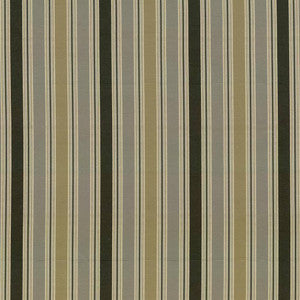 Abbot Stripe Meadow by Kasmir Fabric