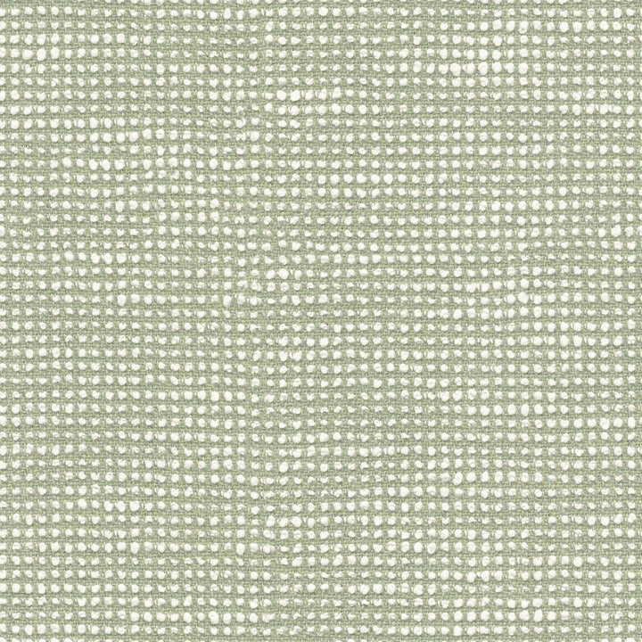 Slow Spirea SLO19107 by Sunbrella European Fabric Sunbrella® Acrylic, Sunbrella® Polyester Horizontal: and Vertical: 55 in. - Fabric Carolina -