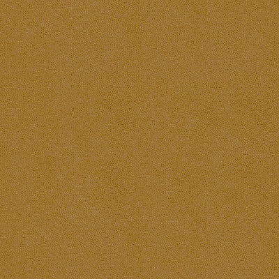 Abilene Saddle by Kravet Contract Fabric