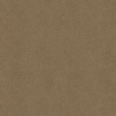 Abilene Stone by Kravet Contract Fabric