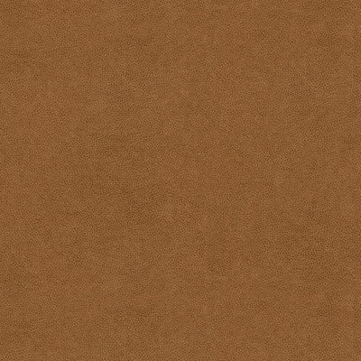 Abilene Biscuit by Kravet Contract Fabric