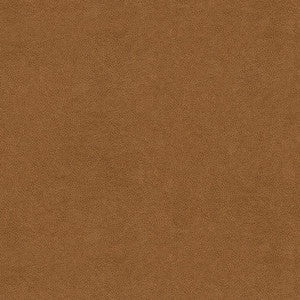 Abilene Biscuit by Kravet Contract Fabric