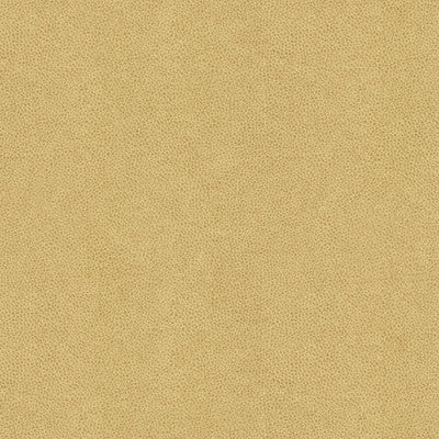 Abilene Dune by Kravet Contract Fabric