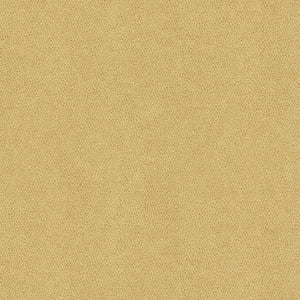 Abilene Dune by Kravet Contract Fabric