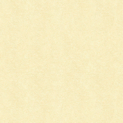Abilene Fossil by Kravet Contract Fabric
