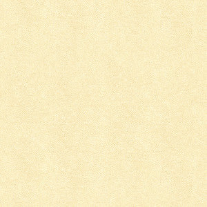 Abilene Fossil by Kravet Contract Fabric