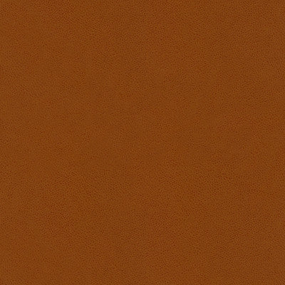 Abilene Penny by Kravet Contract Fabric