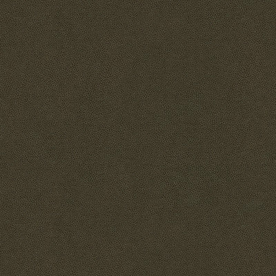 Abilene Stallion by Kravet Contract Fabric